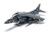 McDonnell Douglas AV-8B+ Harrier II - 165001/01 - VMA-214 'Black Sheep'