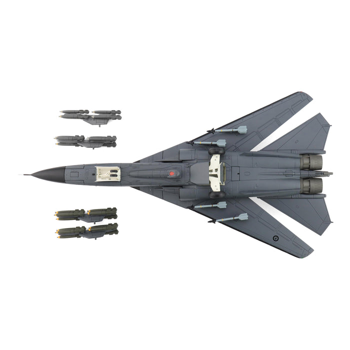 F-111C Aardvark "Farewell scheme" A8-129, No.1 Sqn., RAAF, Dec 2010