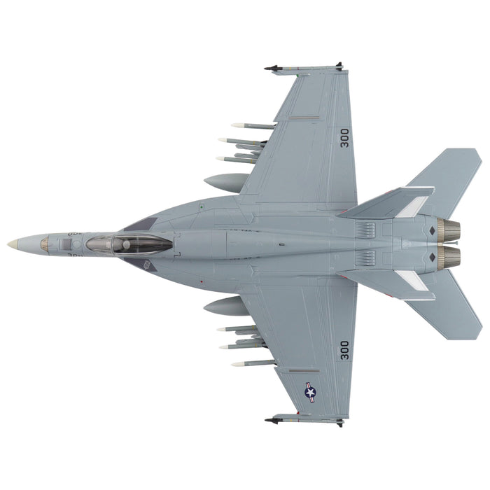 F/A-18E "Golden Warriors" 168910, VFA-87, 2017 "Operation Inherent Resolve"