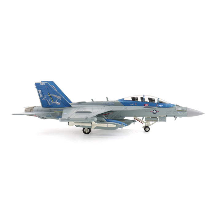 EA-18G Growler 168256, VAQ-139 "Cougars", USN, 2025
