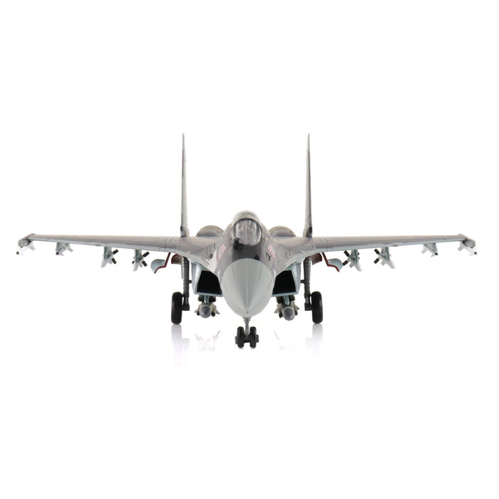 Su-35S Flanker E Red 08/RF-93648, Russian Air Force, Zhuhai Jinwan Airport, 2014