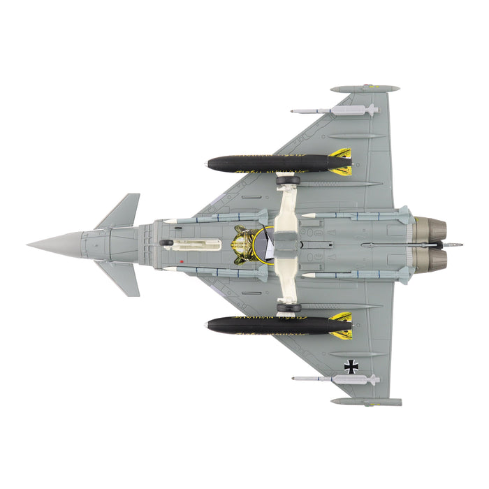 Eurofighter Typhoon "Castle Tiger" 30+74, German Air Force, 2025