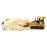 Cat Micro D5G XL Track-Type Tractor with accessories in Tool Box