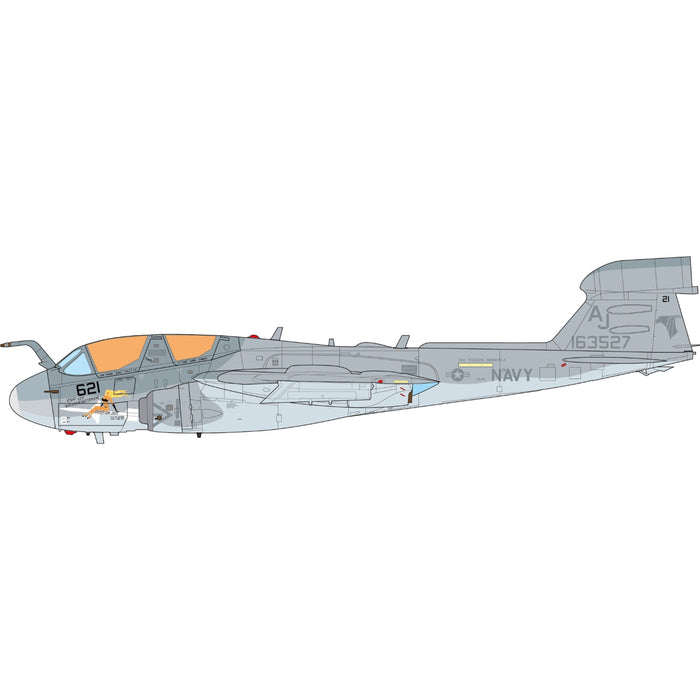 EA-6B Prowler U.S. NAVY VAQ-141 Shadowhawks, Desert Storm, 1991