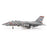 F-14B Tomcat U.S. NAVY VF-102 Diamondbacks, Operation Enduring Freedom, 2001