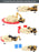 Cat Mini Play Set Assortment (2pcs x 85961 and 1pc each of 85962/85963/85964/85965 assorted)