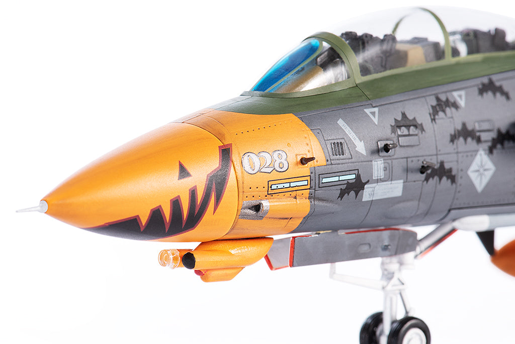F-14D Tomcat - Ace Combat, "Pumpkin Face" (1:72 Scale)